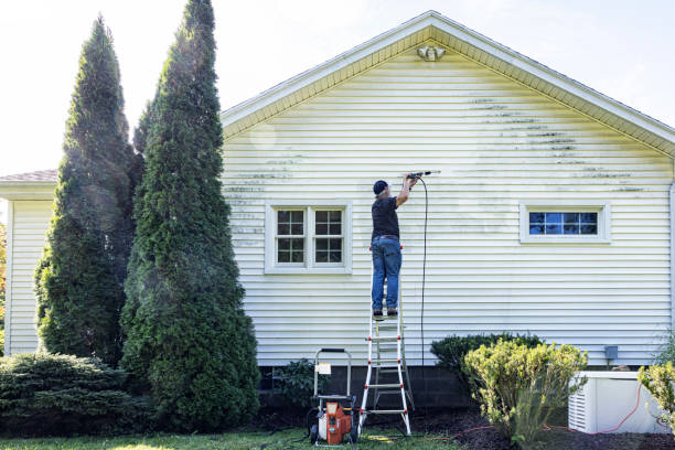 Best Affordable Pressure Washing  in Hybla Lley, VA